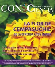 La flor de Cempasuchil