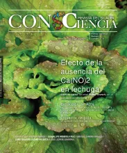 Efecto de la ausencia del Ca(NO)2 en lechuga