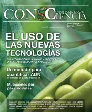 El uso de las nuevas tecnologías