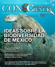 La visión del mundo sostenible